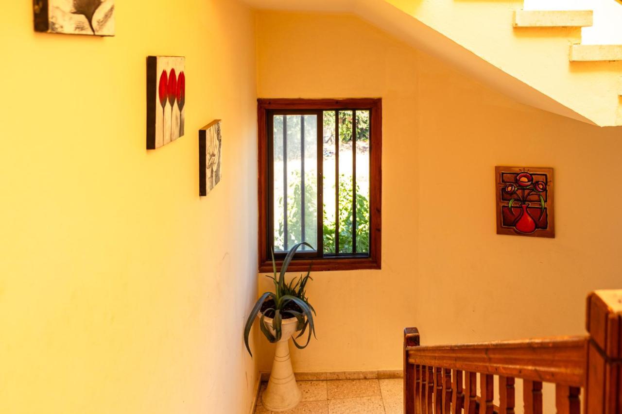 Calypso Apartment *